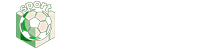 西甲直播
